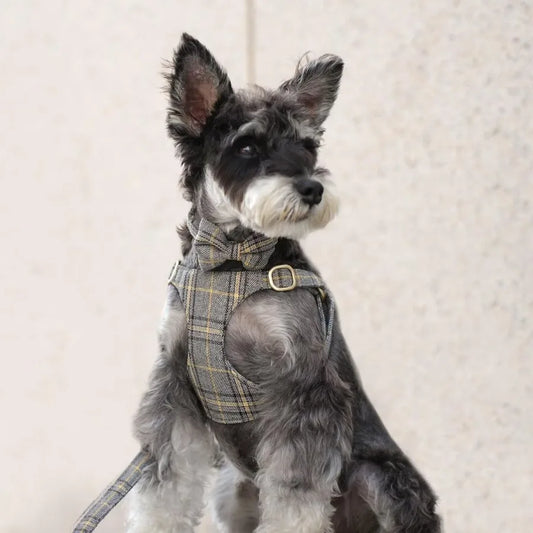 Luxury Plaid Dog Harness, Bow Tie Collar & Leash Set – Adjustable Comfort Fit | ArmoredDog™ - ArmoredDog