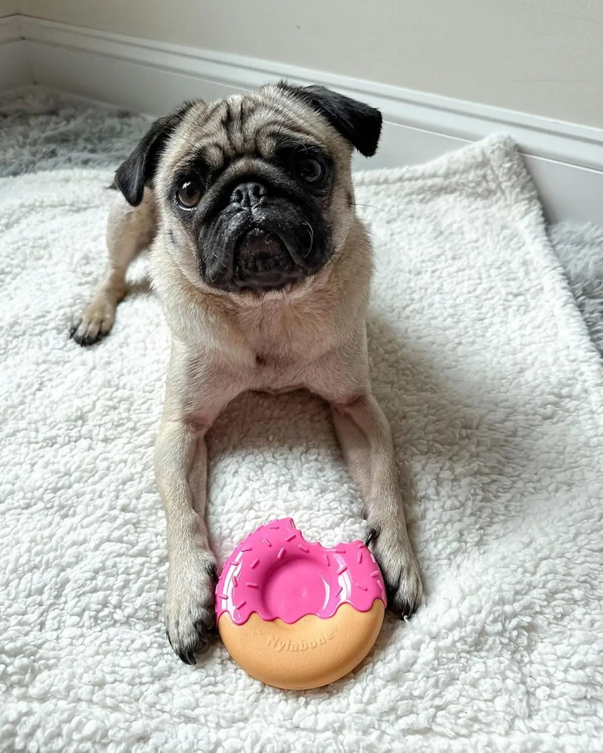 Durable Donut Chew Toy for Dogs – Safe, Non-Toxic & Fun Playtime Treat | ArmoredDog™ - ArmoredDog