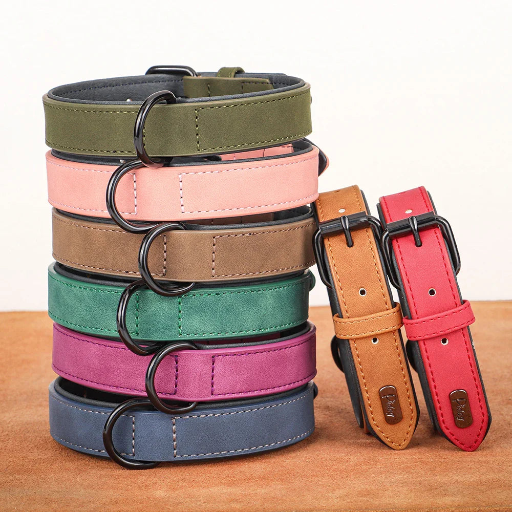 Dog Collars – Smart, Stylish & Safe | ArmoredDog™ - ArmoredDog