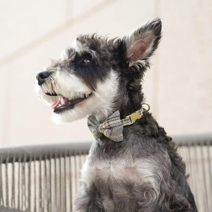 Luxury Plaid Dog Harness, Bow Tie Collar & Leash Set – Adjustable Comfort Fit | ArmoredDog™ - ArmoredDog