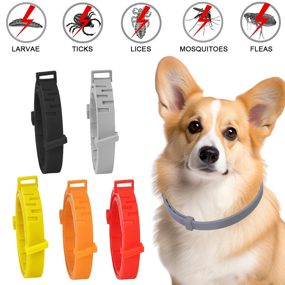 Flea & Tick Repellent Collar for Dogs & Cats – Chemical-Free, Waterproof & Adjustable | ArmoredDog™ - ArmoredDog