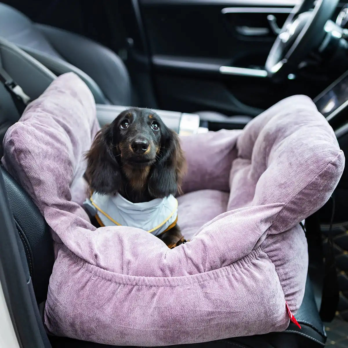 Soft Pet Car Seat Bed | Portable Dog & Cat Travel Booster Seat | Cozy Safety Carrier for Small Pets - ArmoredDog