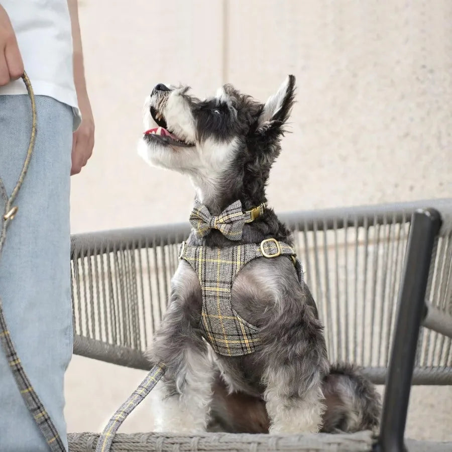 Luxury Plaid Dog Harness, Bow Tie Collar & Leash Set – Adjustable Comfort Fit | ArmoredDog™ - ArmoredDog