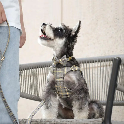 Luxury Plaid Dog Harness, Bow Tie Collar & Leash Set – Adjustable Comfort Fit | ArmoredDog™ - ArmoredDog