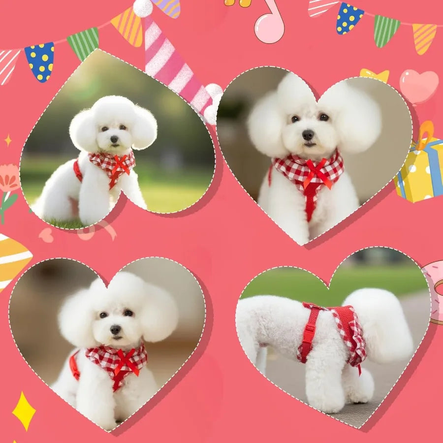 Red Gingham Dog Harness, Leash & Collar Set with Bowtie | Adjustable No-Pull Harness for Small Dogs & Cats | ArmoredDog™ - ArmoredDog