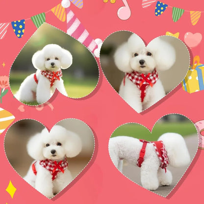 Red Gingham Dog Harness, Leash & Collar Set with Bowtie | Adjustable No-Pull Harness for Small Dogs & Cats | ArmoredDog™ - ArmoredDog
