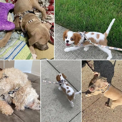 Classic Plaid Dog Harness, Leash & Bow Tie Collar Set – Adjustable & Stylish Walking Gear | ArmoredDog™ - ArmoredDog