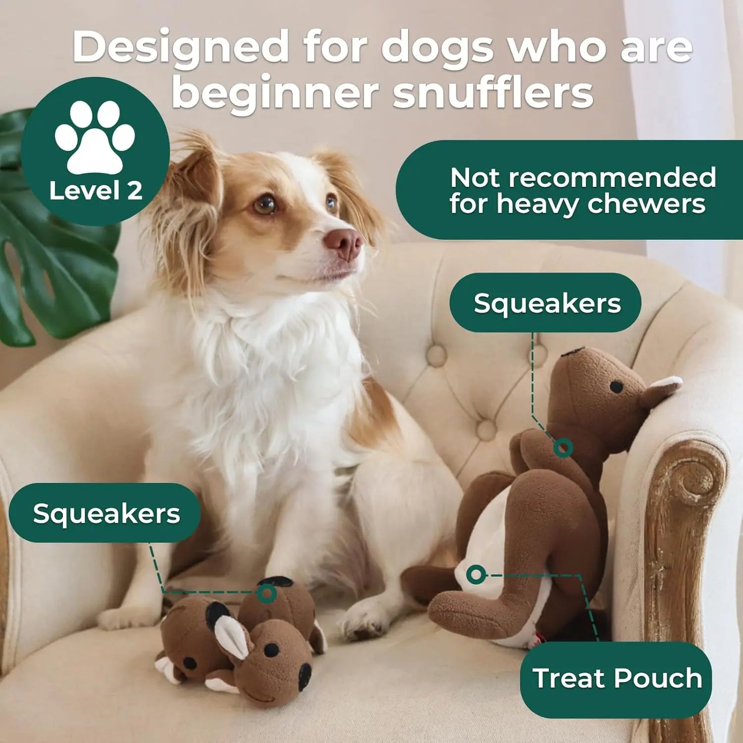 Interactive Kangaroo Dog Toy with Detachable Joeys | Plush Snuffle & Squeaky Enrichment Toy for Small & Medium Dogs | ArmoredDog™ - ArmoredDog