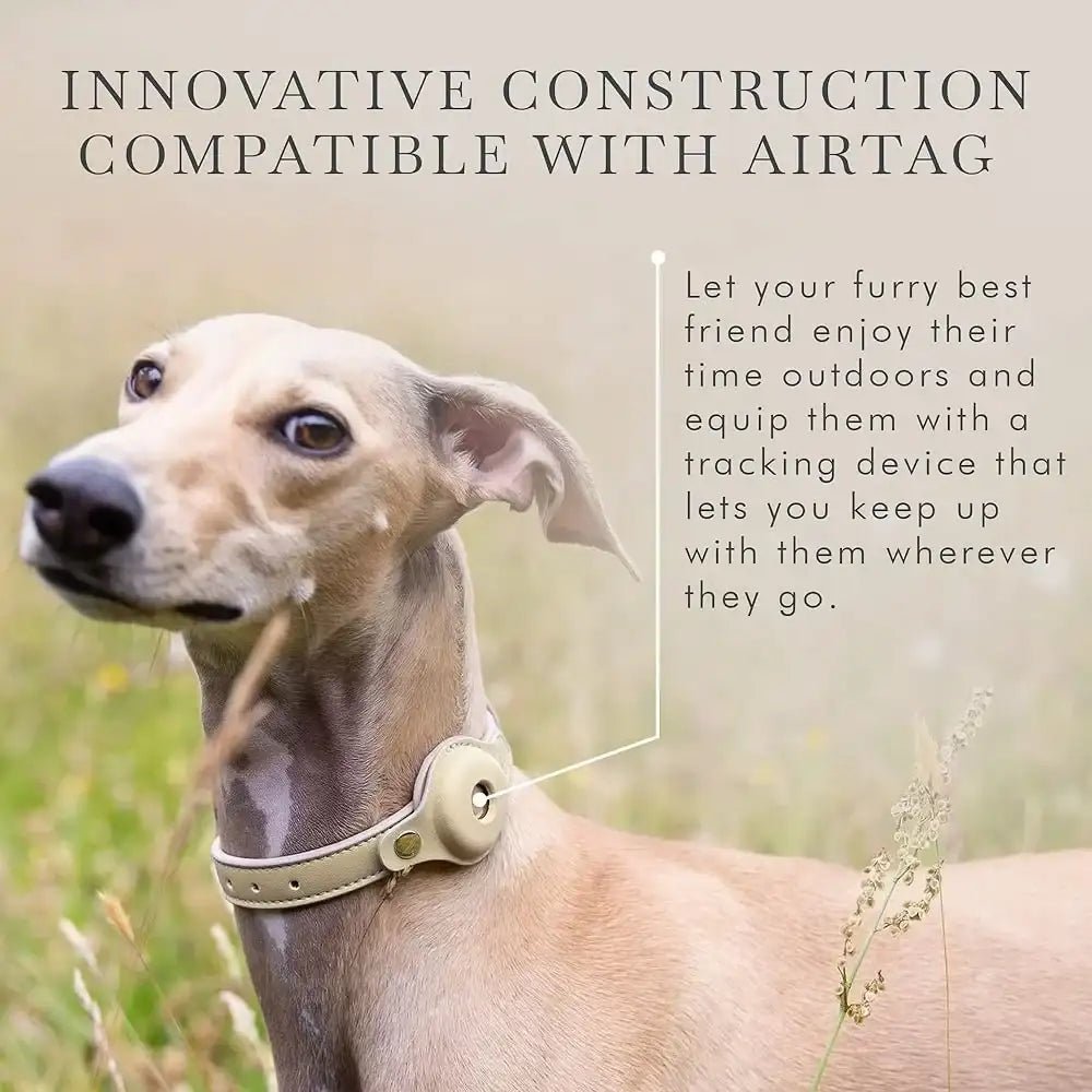 Luxury Vegan Leather AirTag Dog Collar – Smart Pet Tracking Collar with Gold Hardware | ArmoredDog™ - ArmoredDog