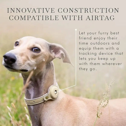 Luxury Vegan Leather AirTag Dog Collar – Smart Pet Tracking Collar with Gold Hardware | ArmoredDog™ - ArmoredDog