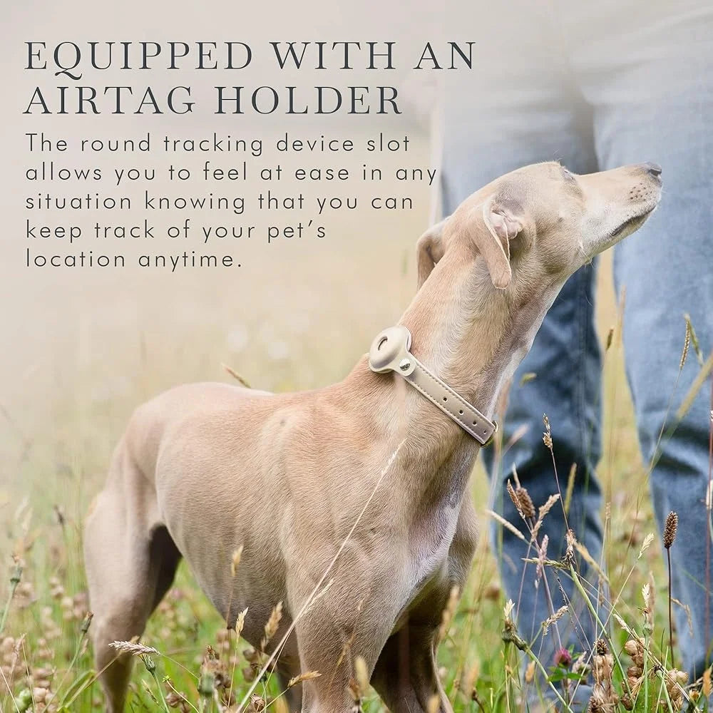 Luxury Vegan Leather AirTag Dog Collar – Smart Pet Tracking Collar with Gold Hardware | ArmoredDog™ - ArmoredDog