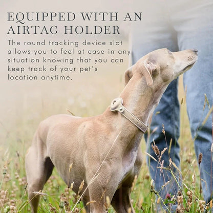 Luxury Vegan Leather AirTag Dog Collar – Smart Pet Tracking Collar with Gold Hardware | ArmoredDog™ - ArmoredDog