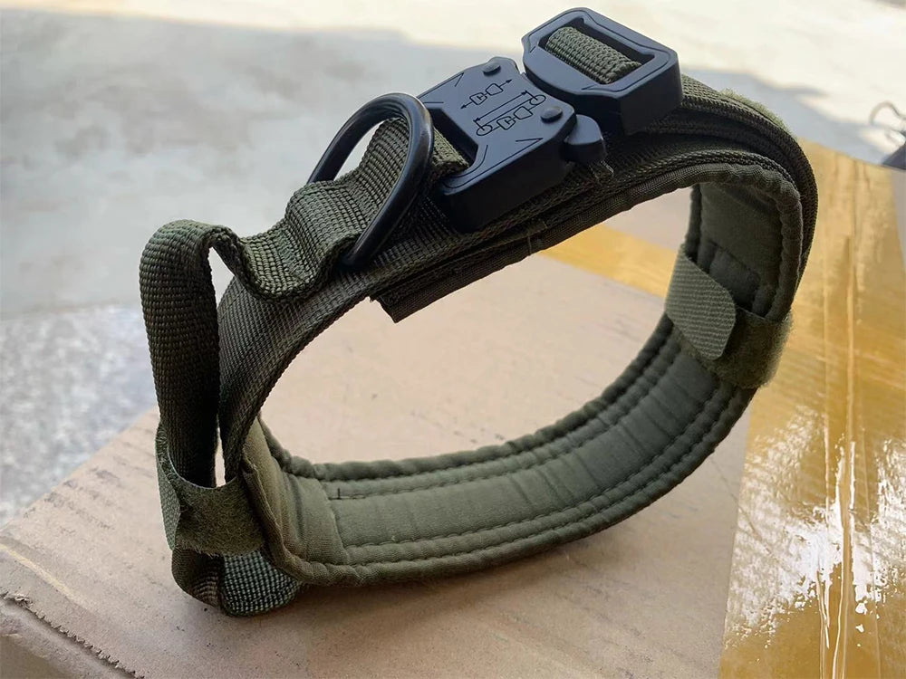 Tactical Dog Collar with Heavy-Duty Metal Buckle & D-Ring – Adjustable Military-Grade Nylon | ArmoredDog™ - ArmoredDog