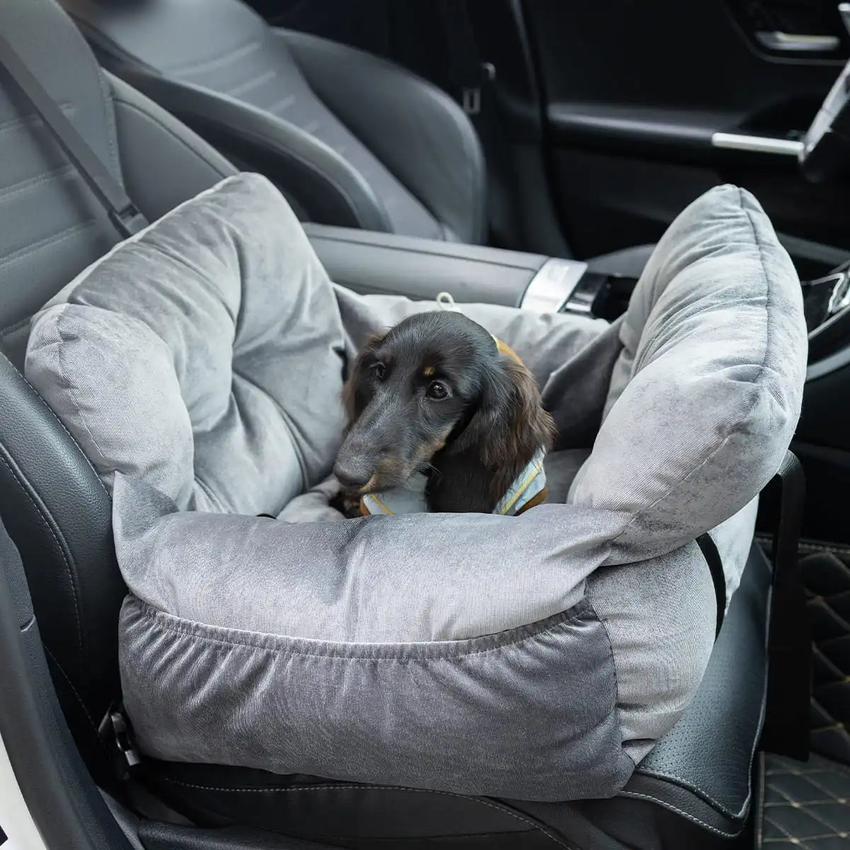 Soft Pet Car Seat Bed | Portable Dog & Cat Travel Booster Seat | Cozy Safety Carrier for Small Pets - ArmoredDog