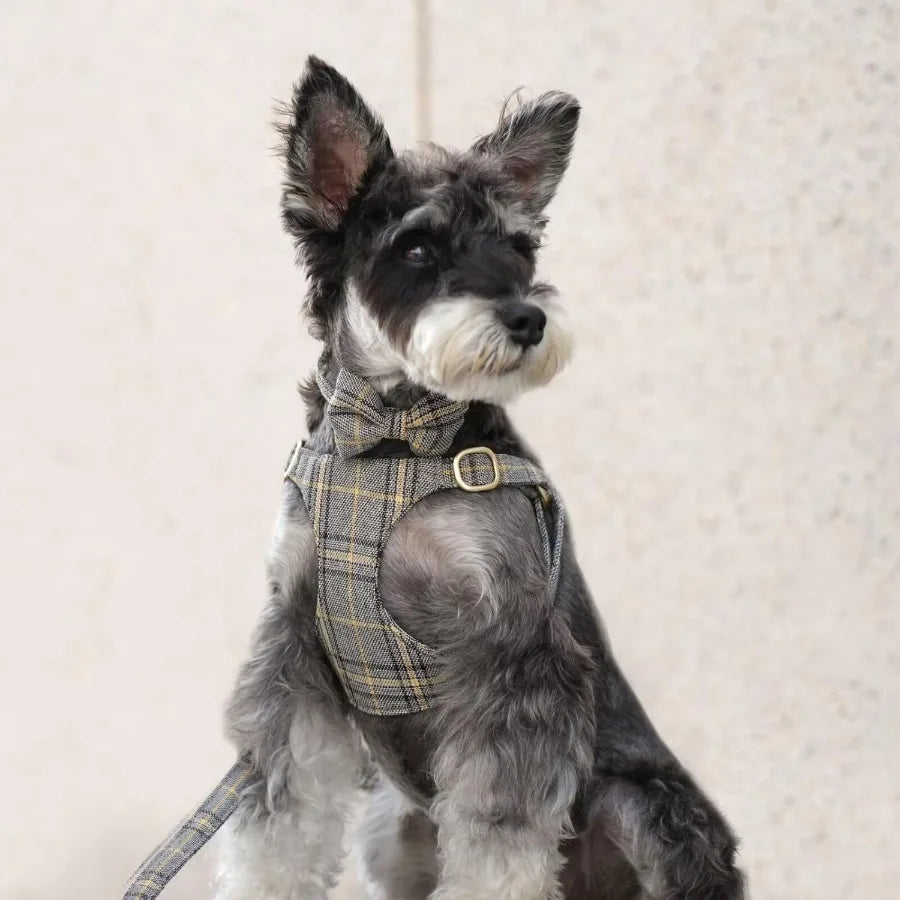 Luxury Plaid Dog Harness, Bow Tie Collar & Leash Set – Adjustable Comfort Fit | ArmoredDog™ - ArmoredDog