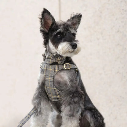 Luxury Plaid Dog Harness, Bow Tie Collar & Leash Set – Adjustable Comfort Fit | ArmoredDog™ - ArmoredDog