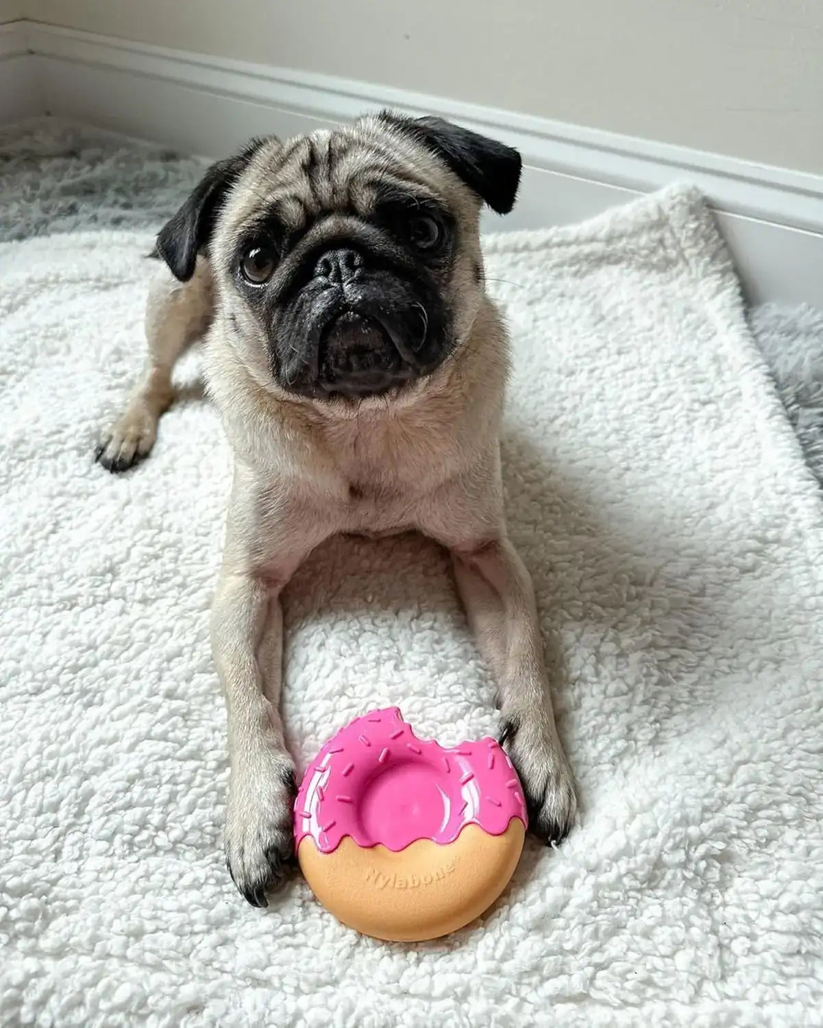 Durable Donut Chew Toy for Dogs – Safe, Non-Toxic & Fun Playtime Treat | ArmoredDog™ - ArmoredDog