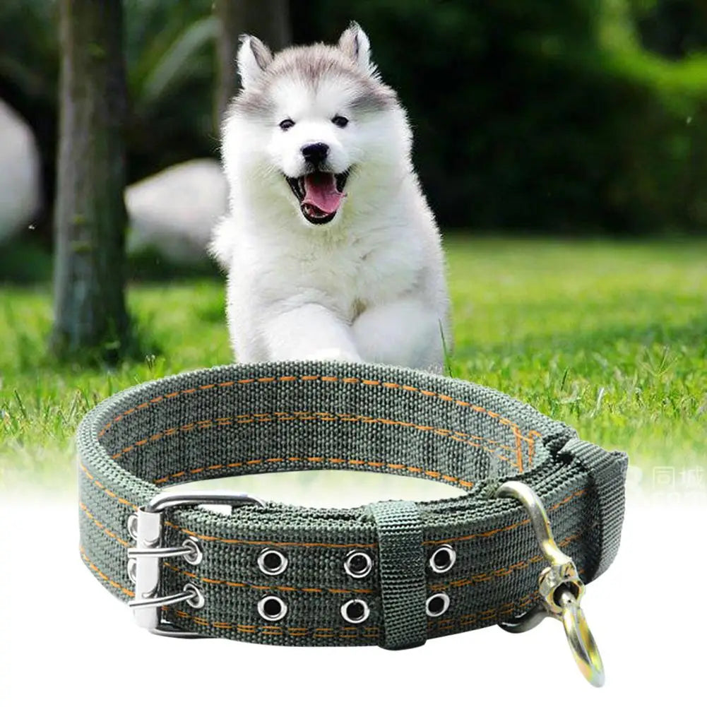 Heavy-Duty Tactical Nylon Dog Collar – Adjustable, Durable & Comfortable Outdoor Collar for All Breeds | ArmoredDog™ - ArmoredDog
