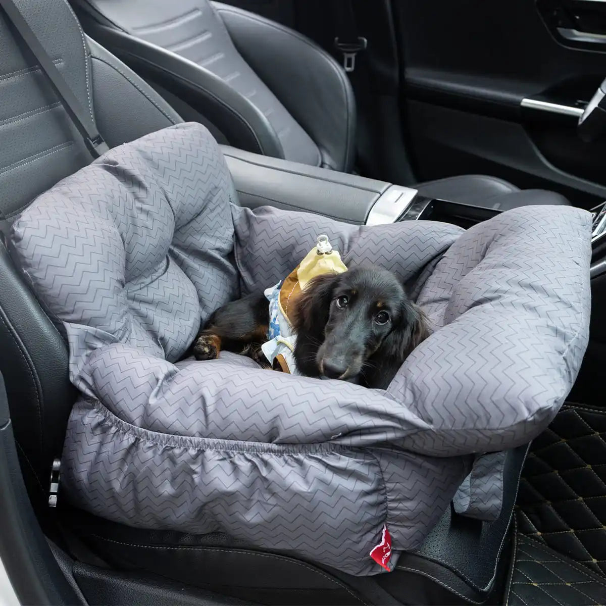 Soft Pet Car Seat Bed | Portable Dog & Cat Travel Booster Seat | Cozy Safety Carrier for Small Pets - ArmoredDog
