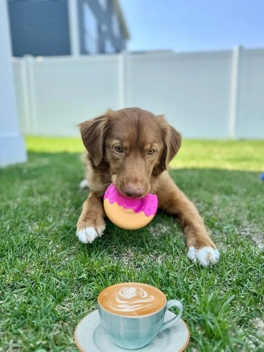Durable Donut Chew Toy for Dogs – Safe, Non-Toxic & Fun Playtime Treat | ArmoredDog™ - ArmoredDog