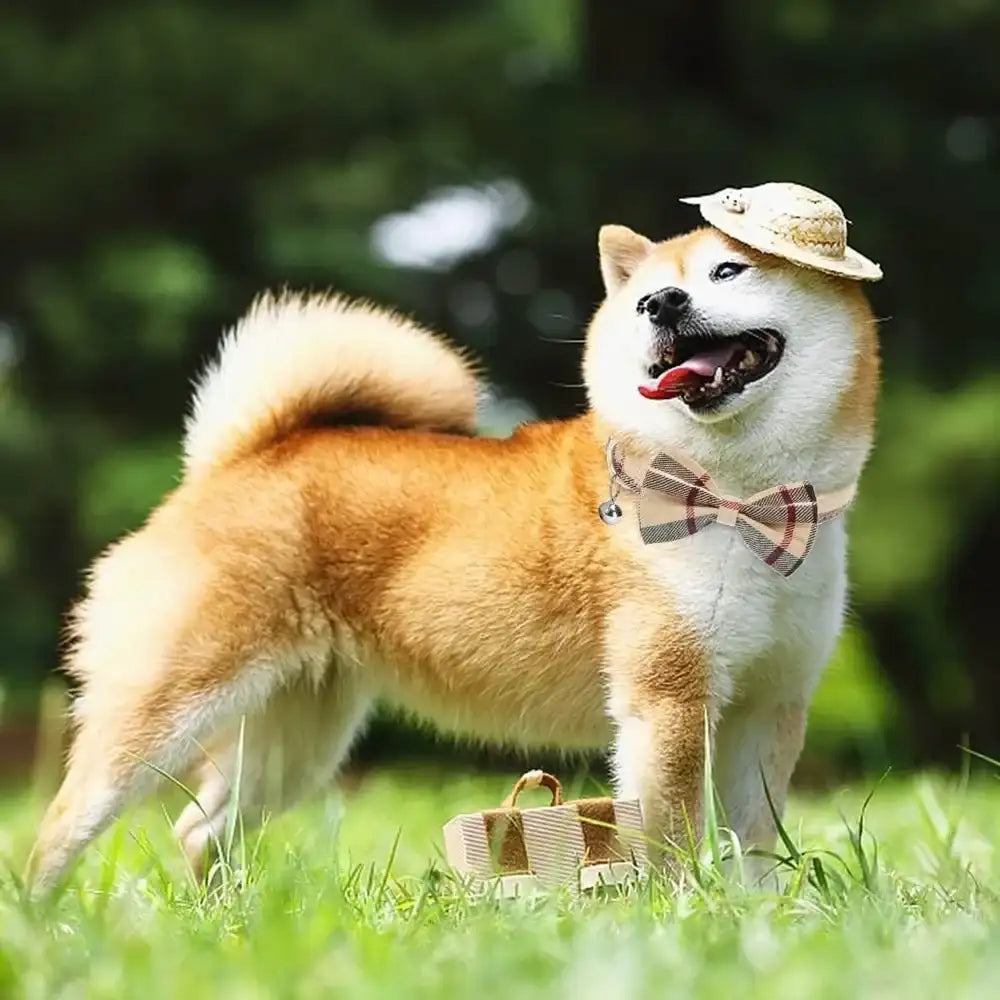 Classic Plaid Dog Harness, Leash & Bow Tie Collar Set – Adjustable & Stylish Walking Gear | ArmoredDog™ - ArmoredDog