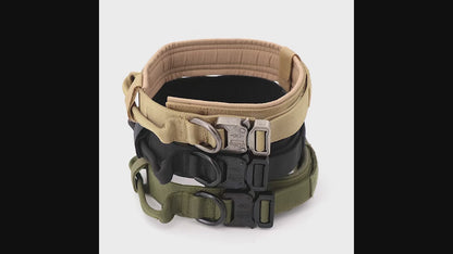 Tactical Dog Collar with Heavy-Duty Metal Buckle & D-Ring - Adjustable Military-Grade Nylon by ArmoredDog™